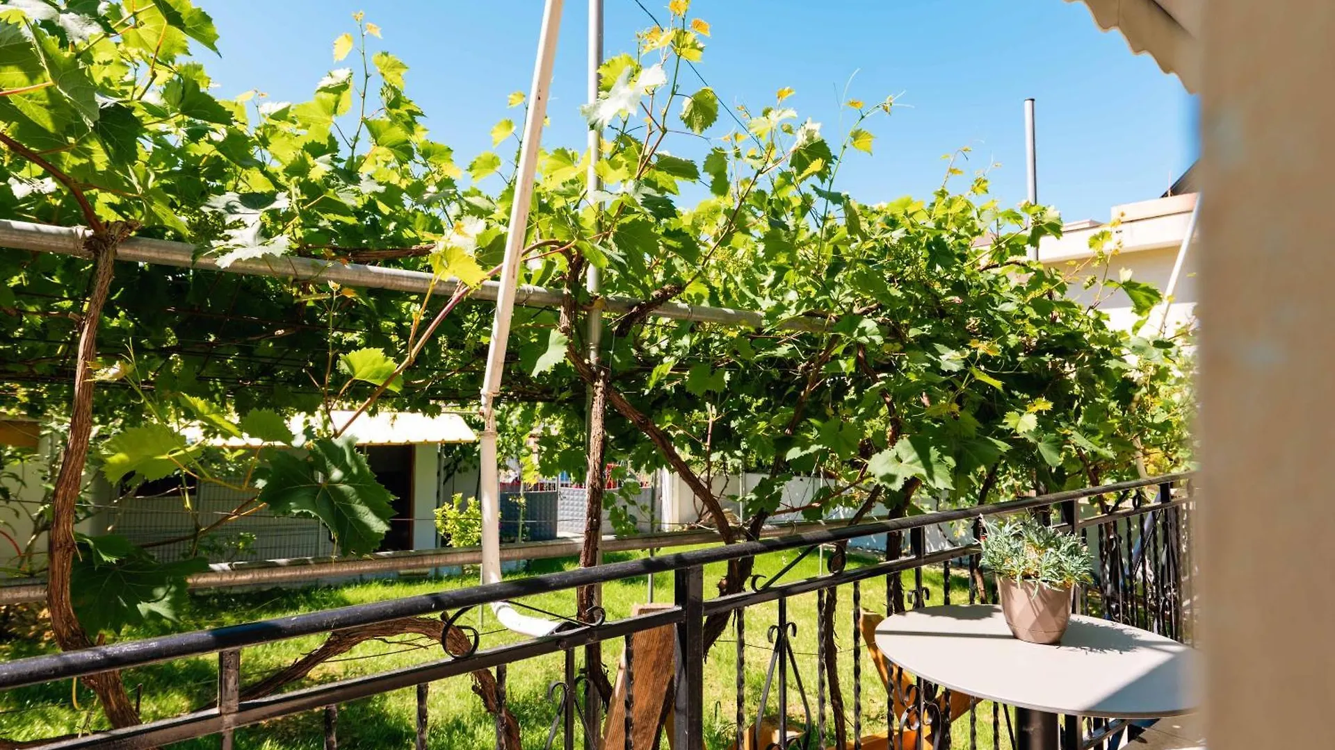 Kalpazo Kaja Vila Garden Golem  0*, Golem (Tirana)
